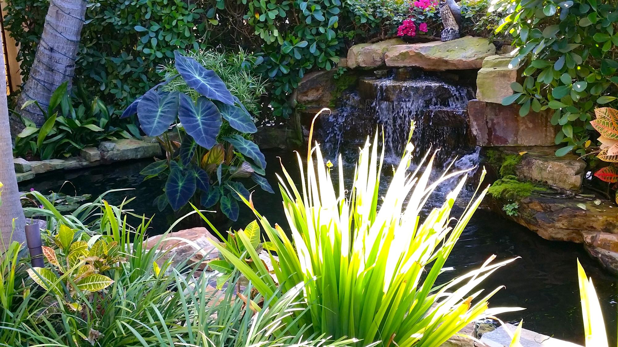 20150325_105347.jpg