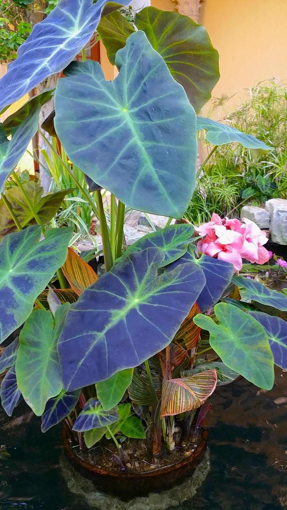 20150325_111328.jpg