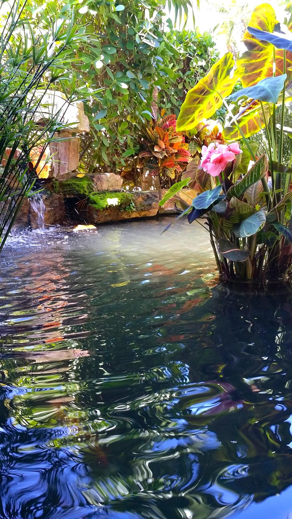 20150325_113044.jpg