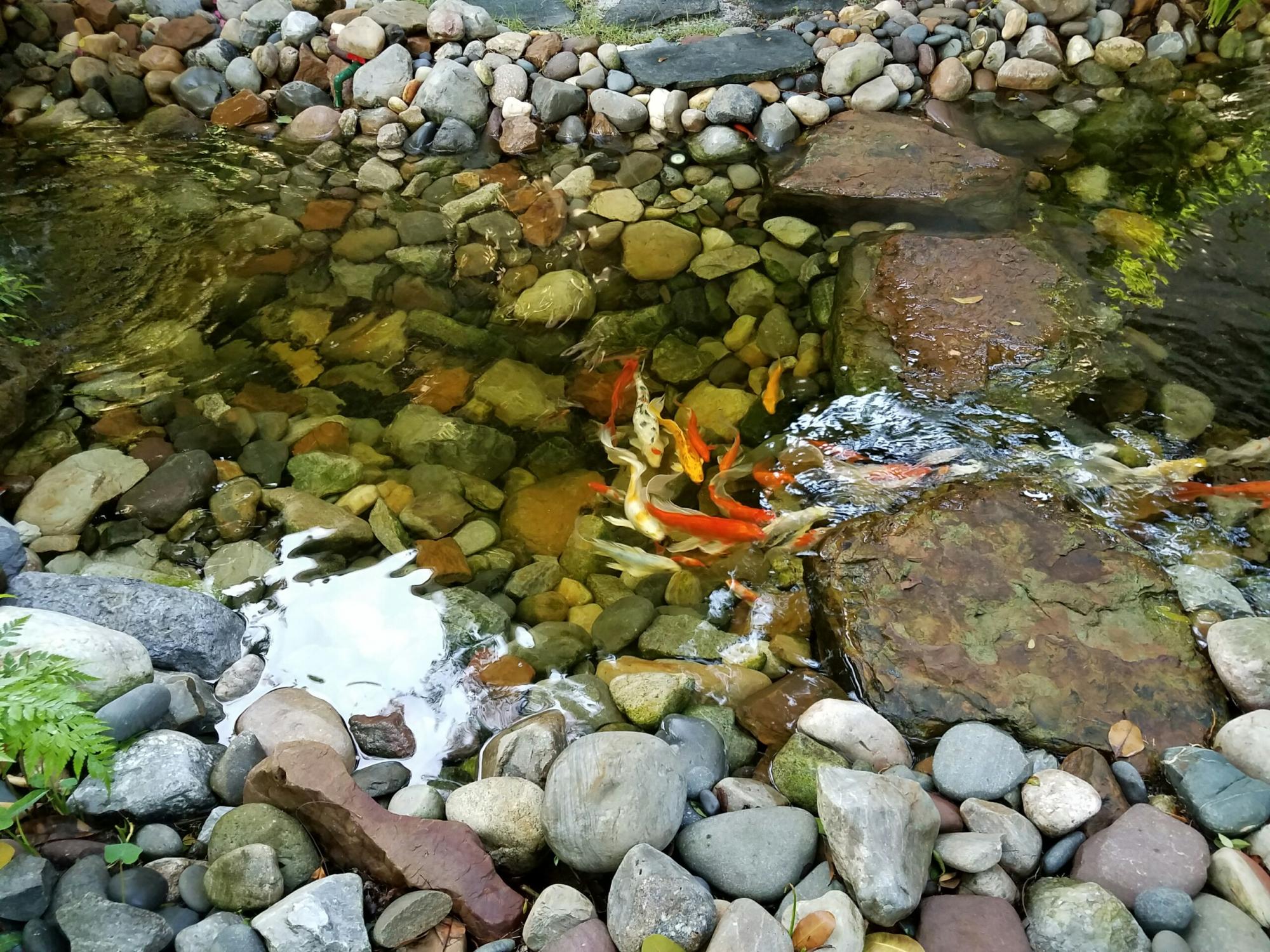 20160815_081504_optimized.jpg